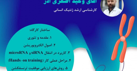 کارگاه تخصصی کاربرد الکتروپوریشن در انتقال RNA های تنظیمی (microRNA و siRNA)
