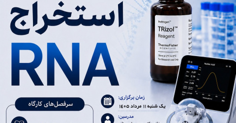 آموزش تئوری و عملی استخراج RNA