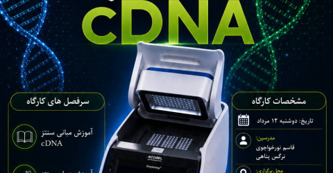 آموزش تئوری و عملی سنتز CDNA