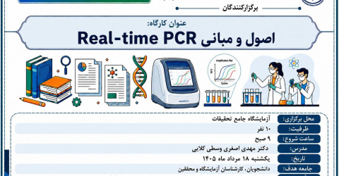 اصول و مبانی Real-time PCR