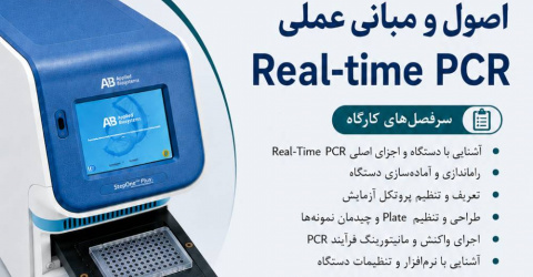 اصول و مبانی عملی Real-time PCR