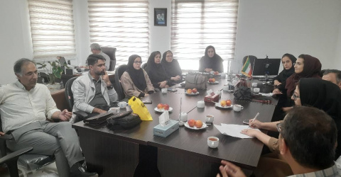 برگزاری بیستمین جلسه شورای پژوهشی مرکز تحقیقات ایمونولوژی سرطان و ایمونوتراپی دانشگاه علوم پزشکی اردبیل